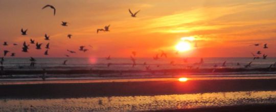Hotel Concord Riccione | Offerta Hotel 4 Stelle Settembre