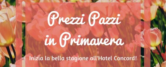 Hotel Concord 4 Stelle Riccione Offerta Primavera